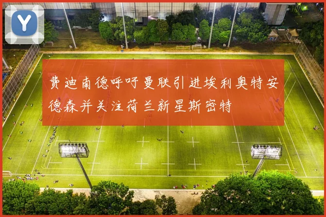 费迪南德呼吁曼联引进埃利奥特安德森并关注荷兰新星斯密特