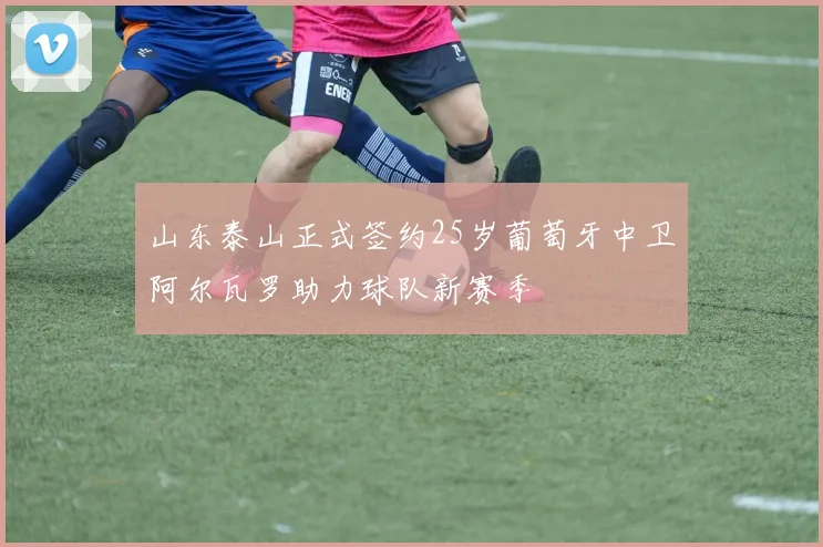 山东泰山正式签约25岁葡萄牙中卫阿尔瓦罗助力球队新赛季