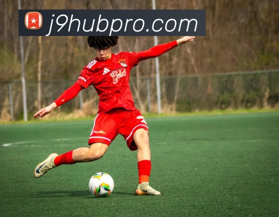 九游会官网平台生态图