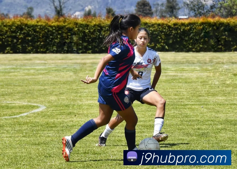 九游会官网APP 封面图